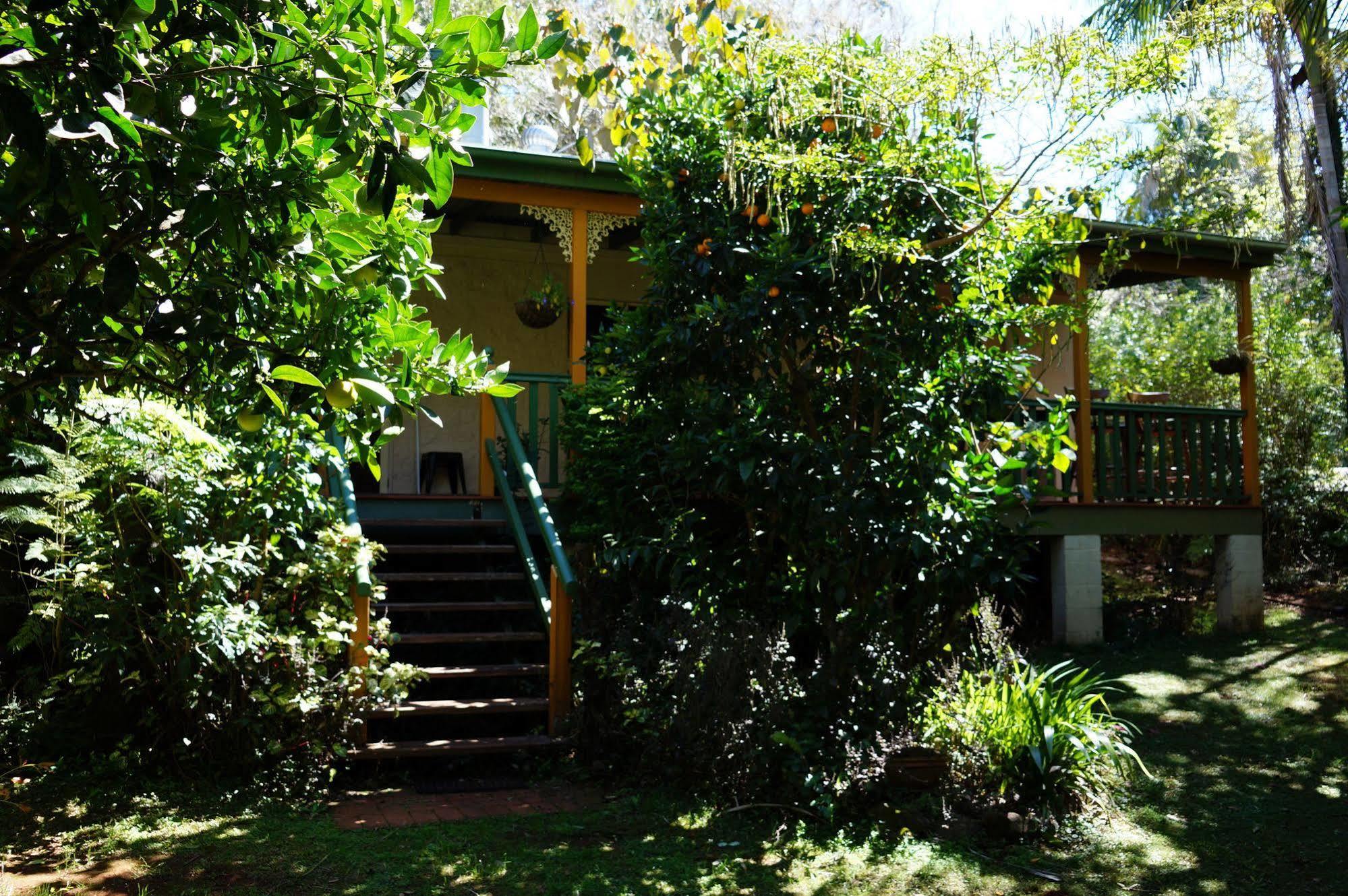 基德街小屋 谭伯连山 外观 照片
